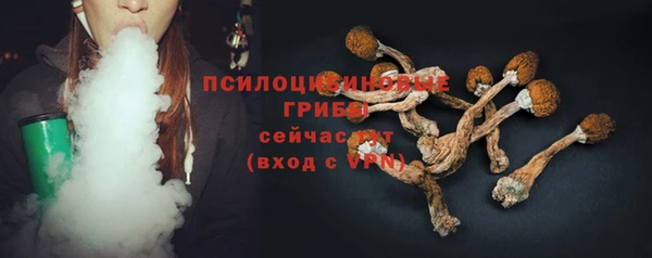 твердый Белоозёрский