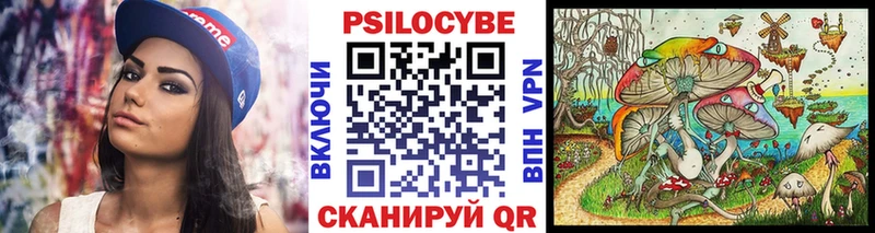 Псилоцибиновые грибы мухоморы  где продают наркотики  Юхнов 